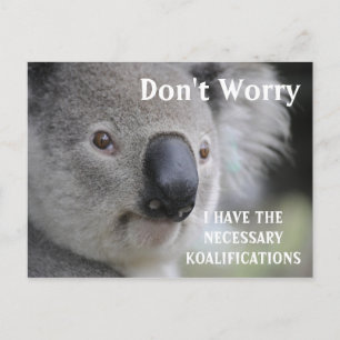 Carte Postale Funny Koala koalifications mème
