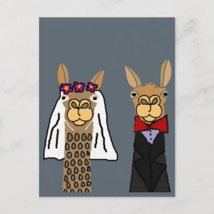 Carte Postale Funny Llama Mariée et Mariage de chambre