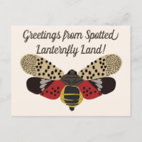 Funny Pennsylvanie tacheté de lanternfly sur mesur