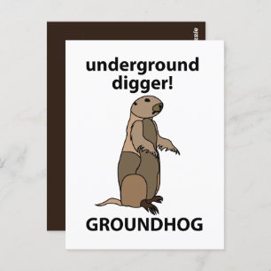 Carte Postale Funny Pet Groundhog