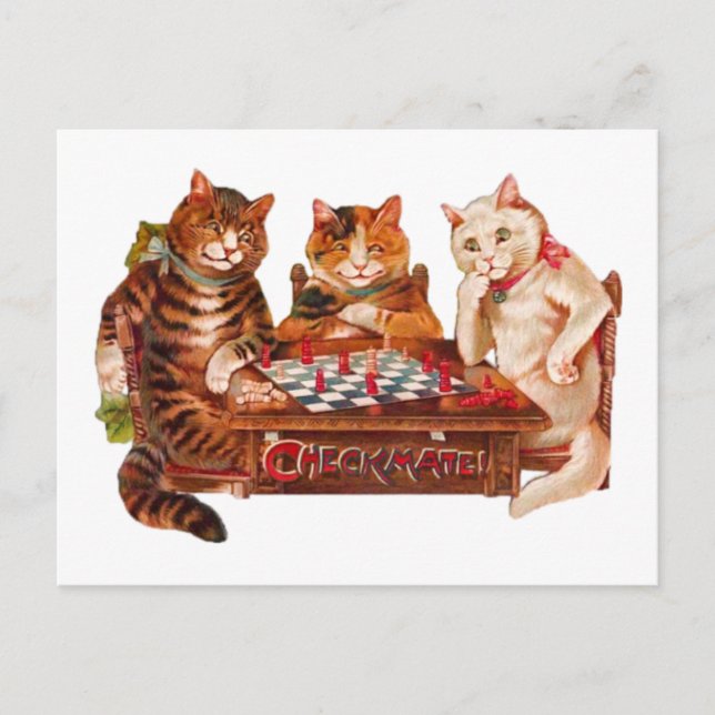 Carte Postale Funny Retro Cats Checkmate Jouer aux échecs 1903 (Devant)