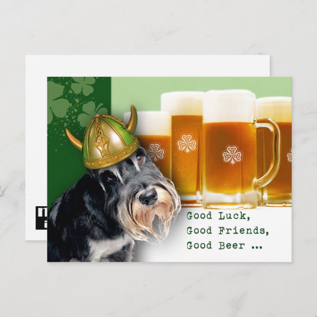 Carte Postale Funny Schnauzer and Beer St. Patrick's Day (Devant / Derrière)