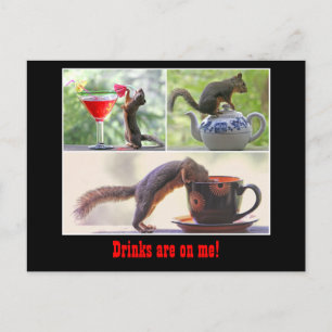 Carte postale Funny Squirrel