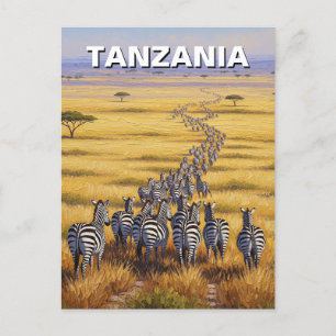 Carte Postale Funny Tanzanie Serengeti National Park Zebra