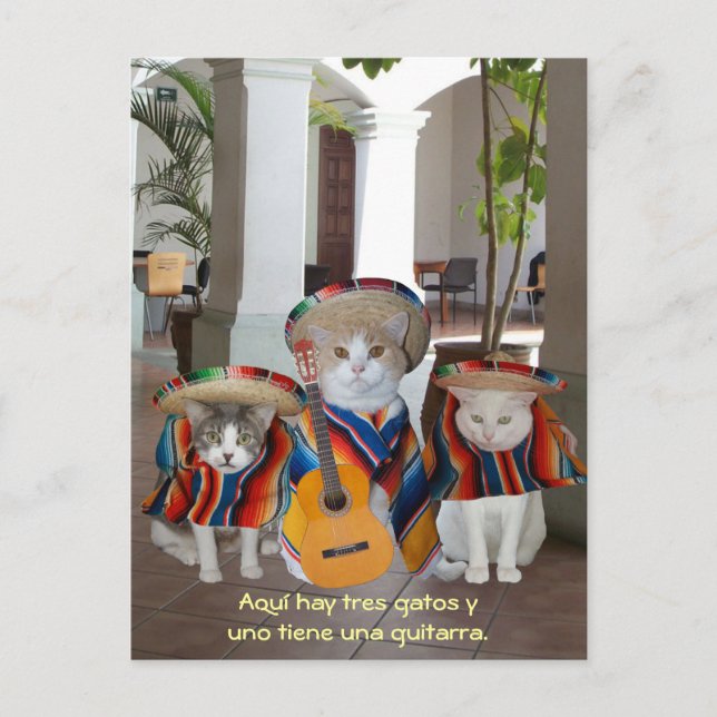Carte Postale Funny Tres Gatos Espagnol aide pédagogique (Devant)