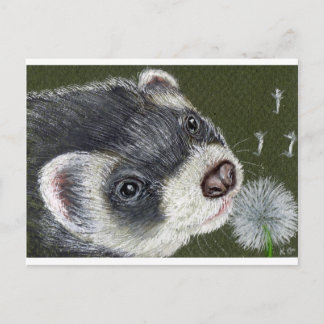Carte Postale Furet élégant