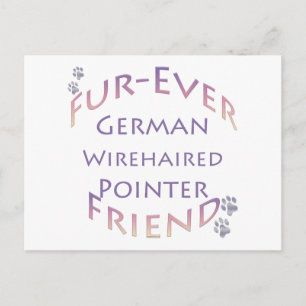 Carte Postale Furever pointeur À poils durs allemand
