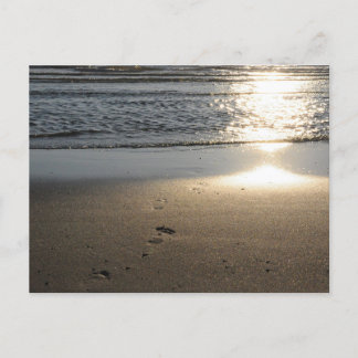 Carte Postale Fußspuren am Sandstrand