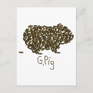 Carte Postale G. Cochon" avec cochon de Guinée classique