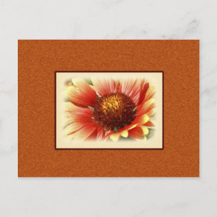 Carte Postale Gaillarde Baignée de Soleil Photographie Te Manque