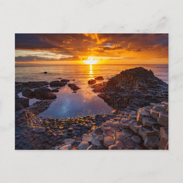 Carte Postale Gaint's Causeway en Irlande (Devant)