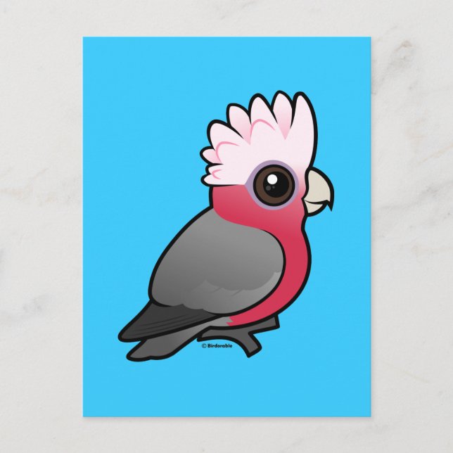 Carte Postale Galah Birdorable (Devant)