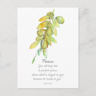 Carte Postale Galatians Fruit of the Spirit Peace Olive Branch