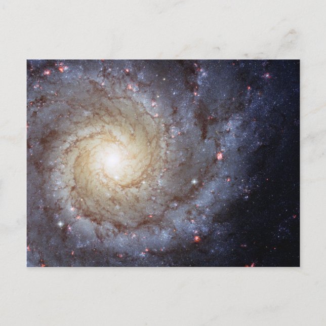 Carte Postale Galaxie spirale M74 (Hubble) (Devant)