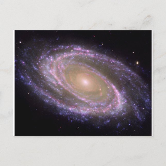 Carte Postale Galaxy Multionde M81 (Devant)