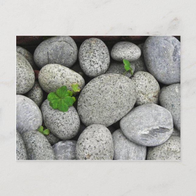 Carte Postale Galets (Devant)