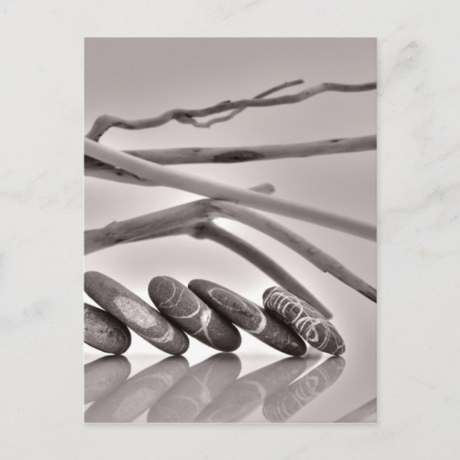 Carte Postale Galets et bois flotté (Devant)