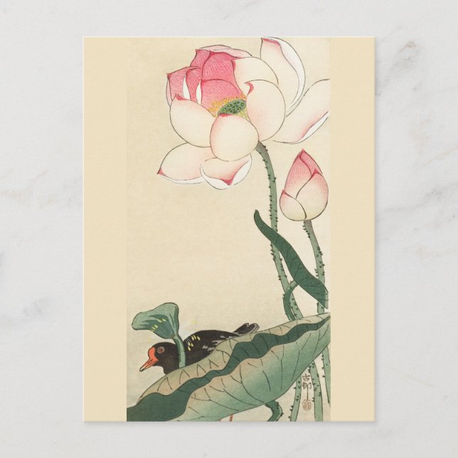 Carte Postale Gallinule avec fleurs de Lotus par Ohara Koson (Devant)