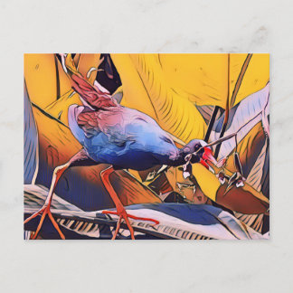 Carte Postale Gallinule violette