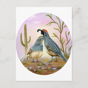 Carte Postale Gambel Quails