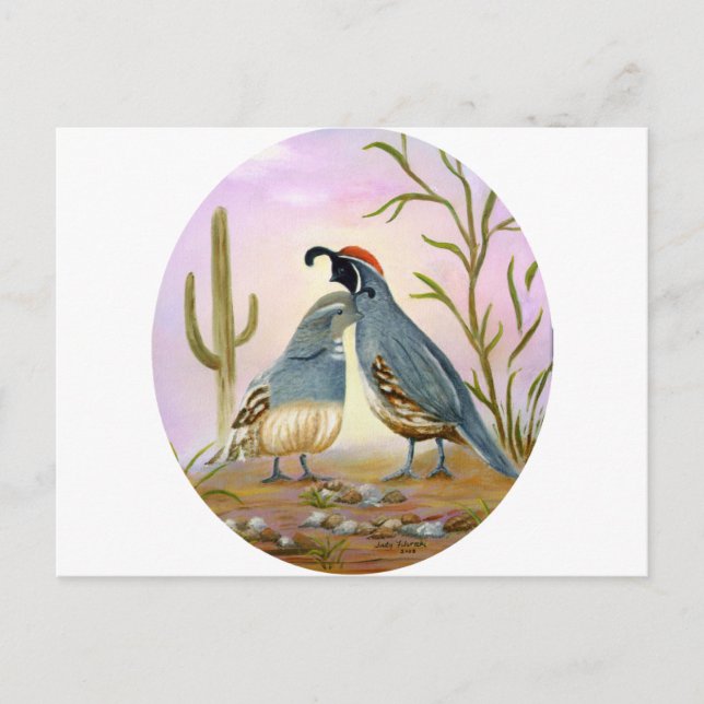 Carte Postale Gambel Quails (Devant)