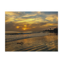 Carte postale Gambie Sunset