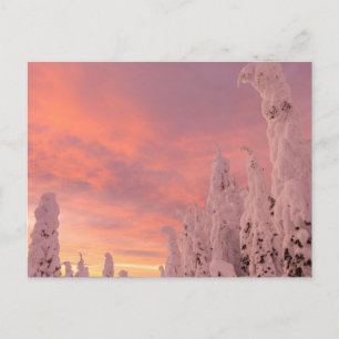 Carte Postale Gamme de Whitefish   Whitefish, Montana