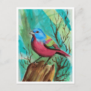Carte Postale Gamme d'oiseaux