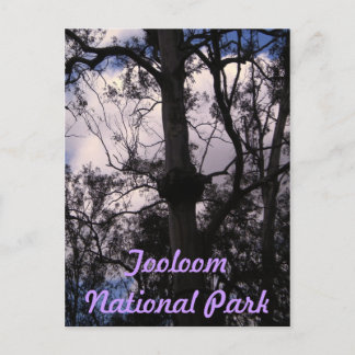 Carte Postale Gammes UNESCO Gondwana, Australie