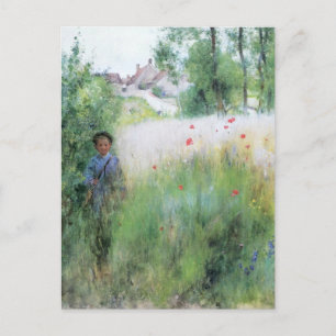 Carte Postale Garçon dans le pré