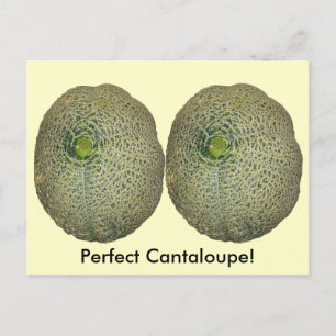 Carte Postale Garden Fresh Cantaloupe