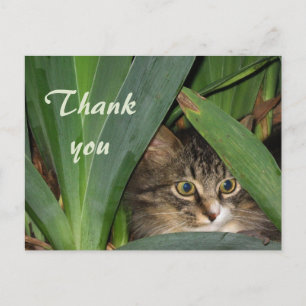Carte Postale Garden Kitty