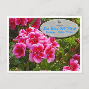 Carte Postale Gardenia Postcard