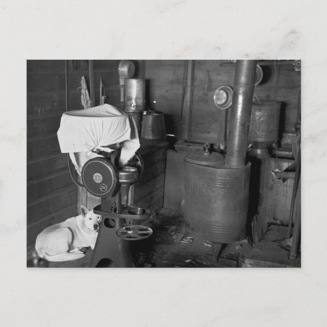 Carte Postale Garder le séparateur de crème, 1936 (Devant)