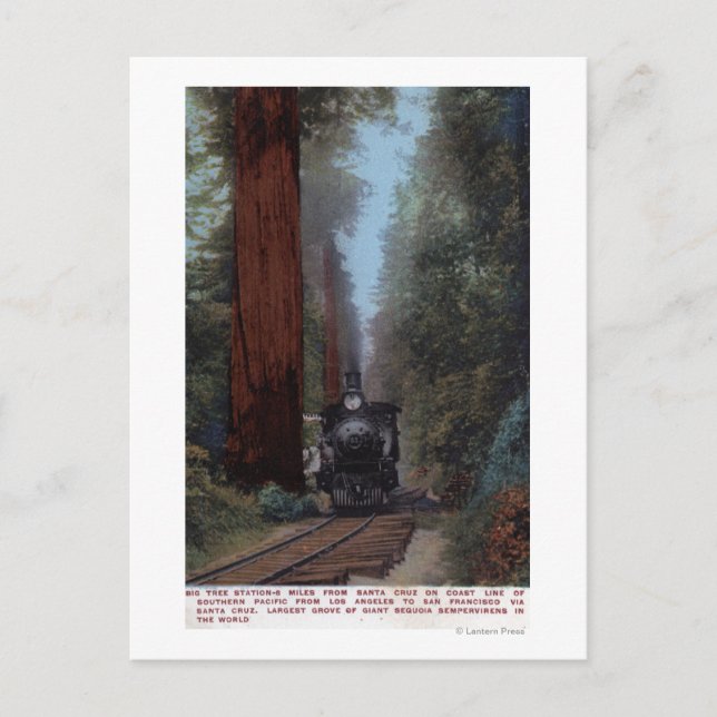 Carte Postale Gare de Big Tree (Devant)