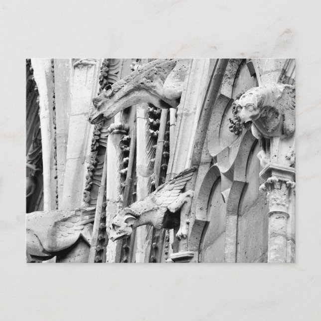 Carte Postale Gargoyles, cathédrale Notre-Dame de Paris, Paris (Devant)