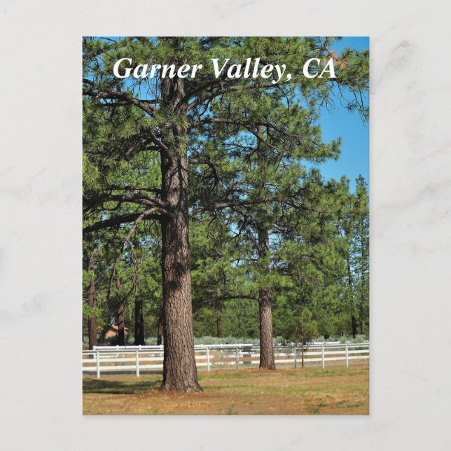 Carte postale Garner Valley (Devant)