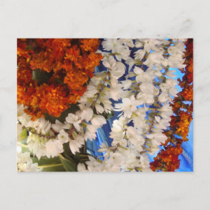 Carte Postale Garrière de fleurs indiennes