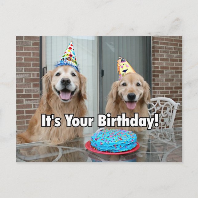 Carte Postale Gâteau d'anniversaire de Golden Retriever (Devant)