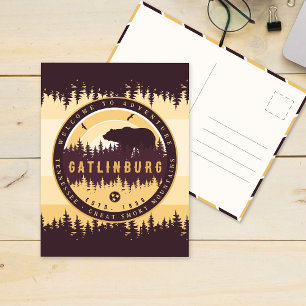 Carte Postale Gatlinburg Tennessee Ours Pins Nature
