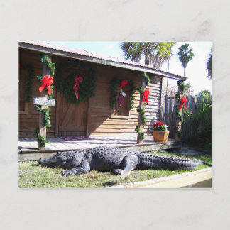 Carte Postale Gator