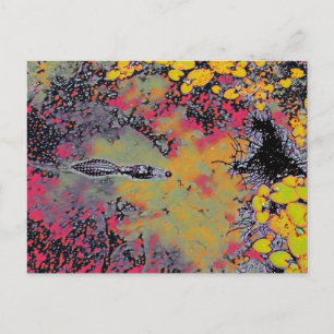Carte Postale Gator Abstrait