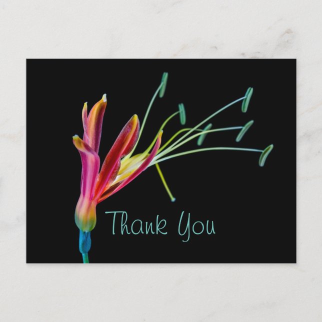 Carte Postale Gay Rainbow couleurs Merci floral (Devant)