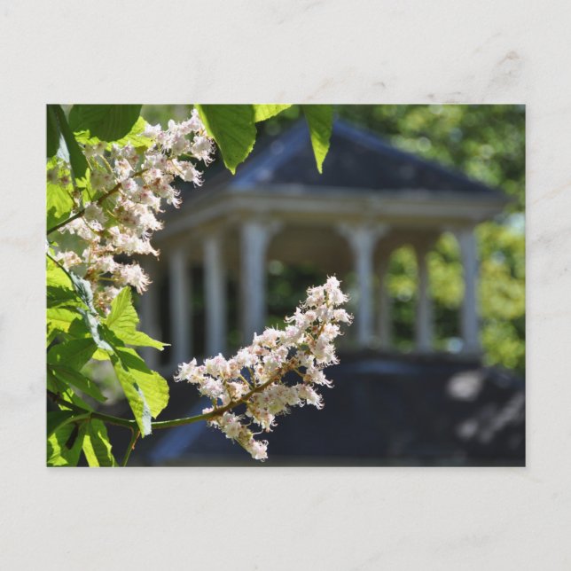 Carte postale 'Gazebo' (Devant)