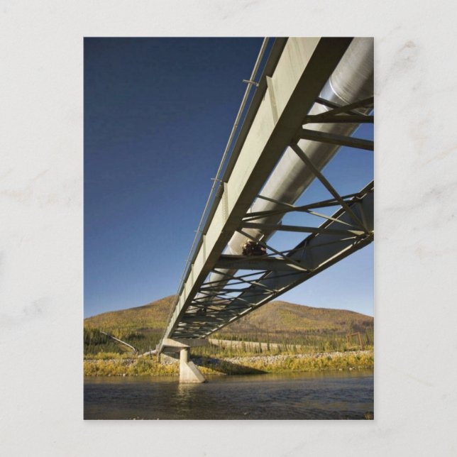 Carte Postale Gazoduc Trans Alaska traversant la fourche sud Koy (Devant)