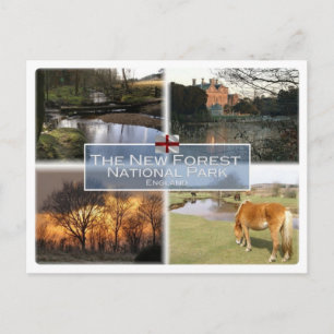Carte Postale GB Royaume-Uni - Angleterre - Nouvelle Forêt N.P. 