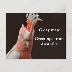 Carte Postale Gday mate ! salutations d'Australie