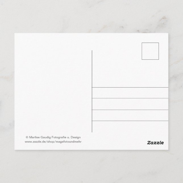 Carte Postale Geburtstags Schneckenpost (Dos)