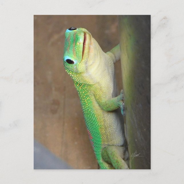 Carte Postale Gecko Jour Poussière Or (Devant)