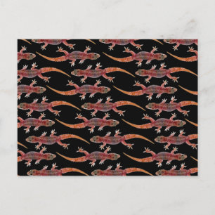 Carte Postale Geckos